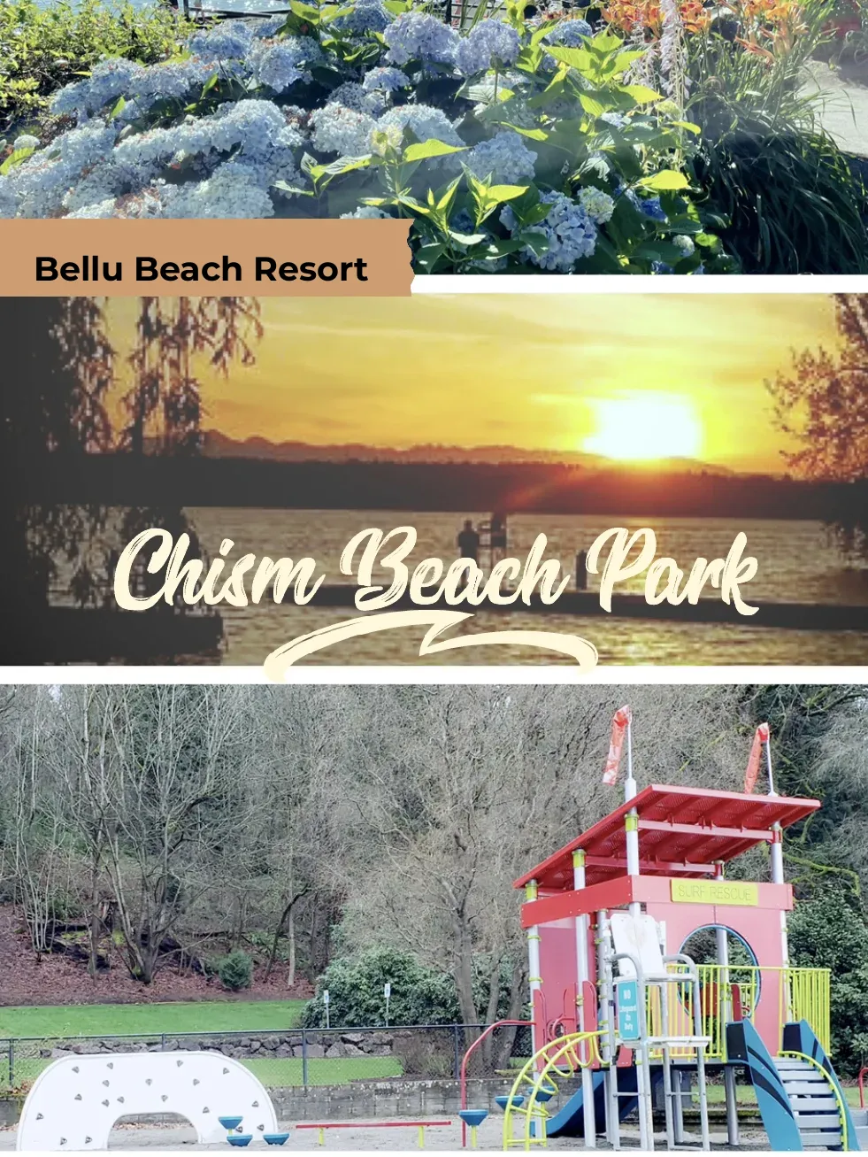 Exploring Seattle with Kids: Chism Beach Park for Family Fun by the Shore