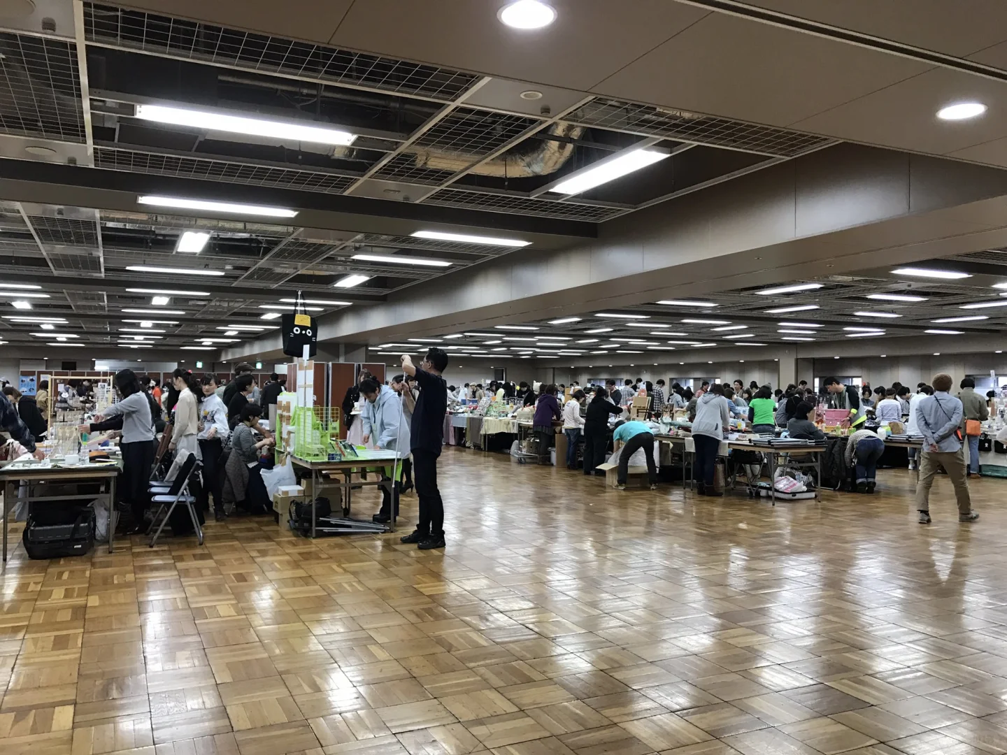 Tokyo Asakusa 🐱 Cat Lover's Paradise