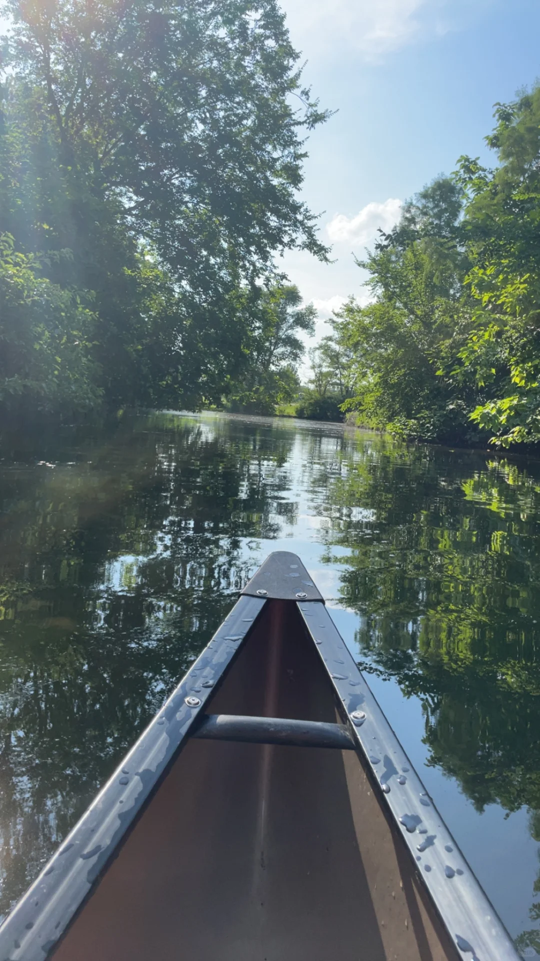 Haircut in St. Louis, STL