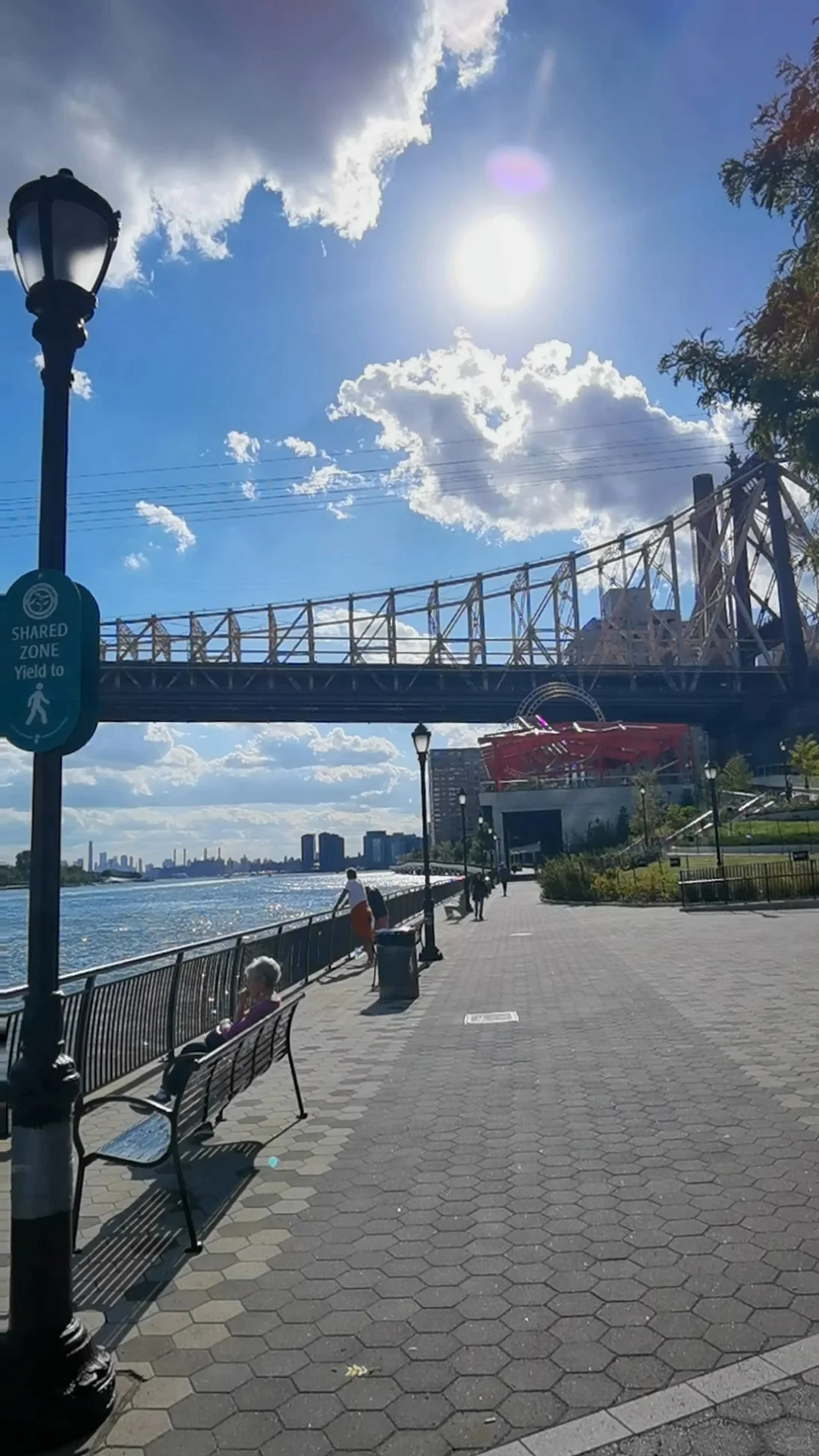 New York Riverside: Dog Walkers and Dog Parks