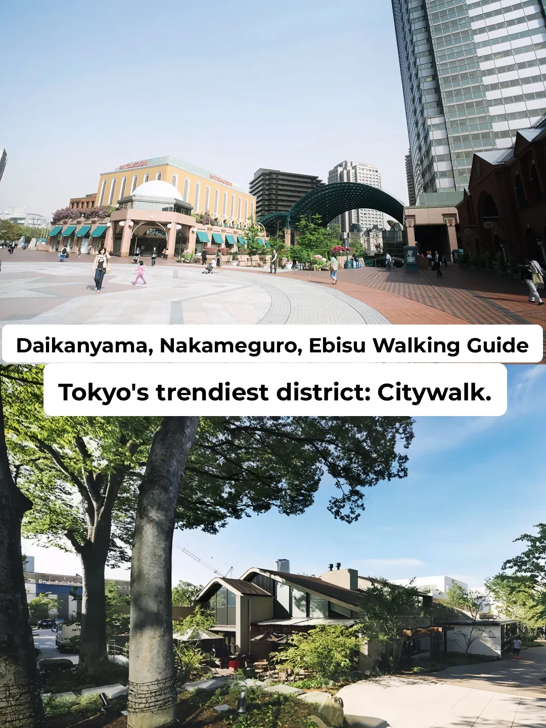 Daikanyama, Nakameguro, and Ebisu: A Fashionable Stroll Guide 🚶