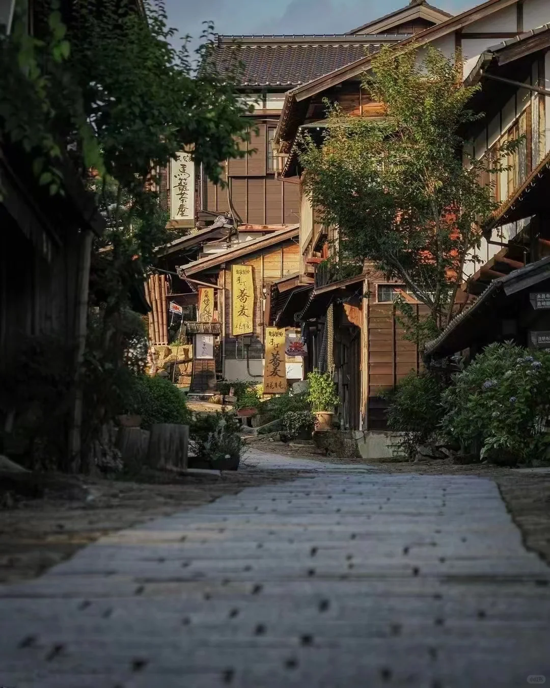 How Well Do You Know Kyoto's Latest Trends?