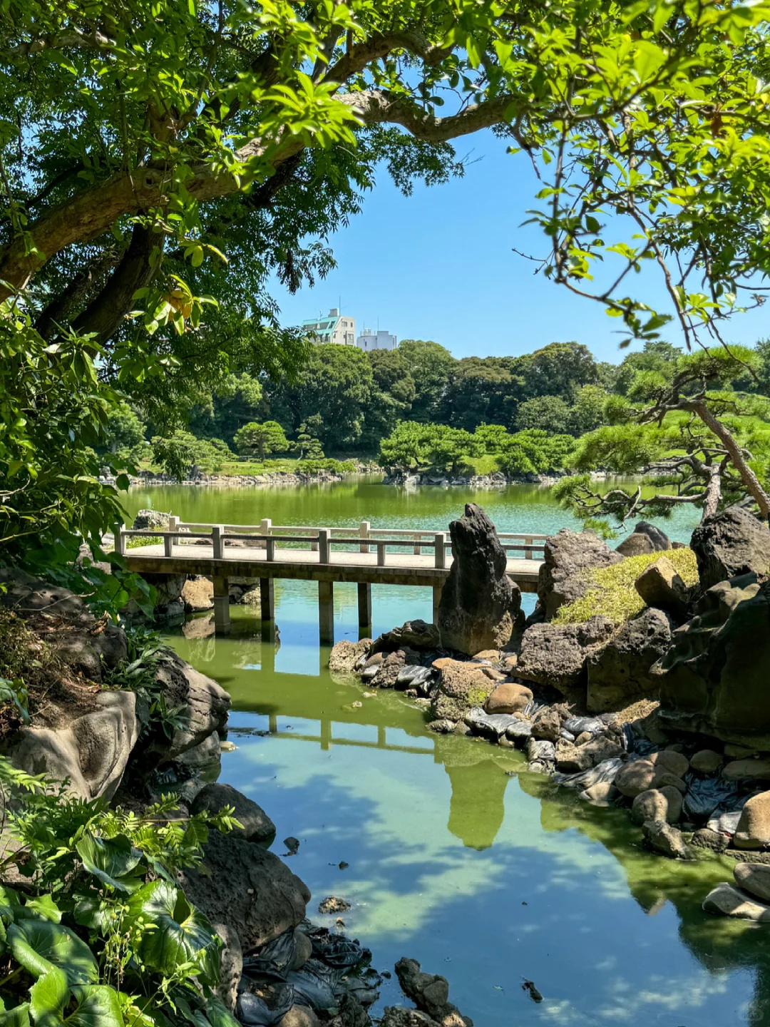 A Chill Day Trip Exploring Tokyo's Kiyosumi-Shirakawa