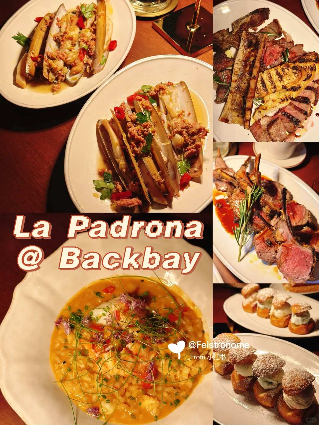 Boston｜The $1,000 Lapadrona Disaster: An 8-Month Wait from Hell