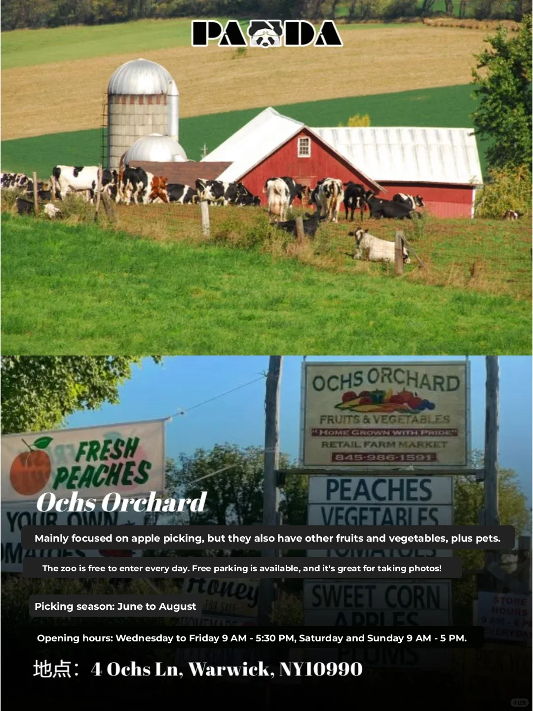 2024 New York's Hottest U-Pick Farms Roundup!