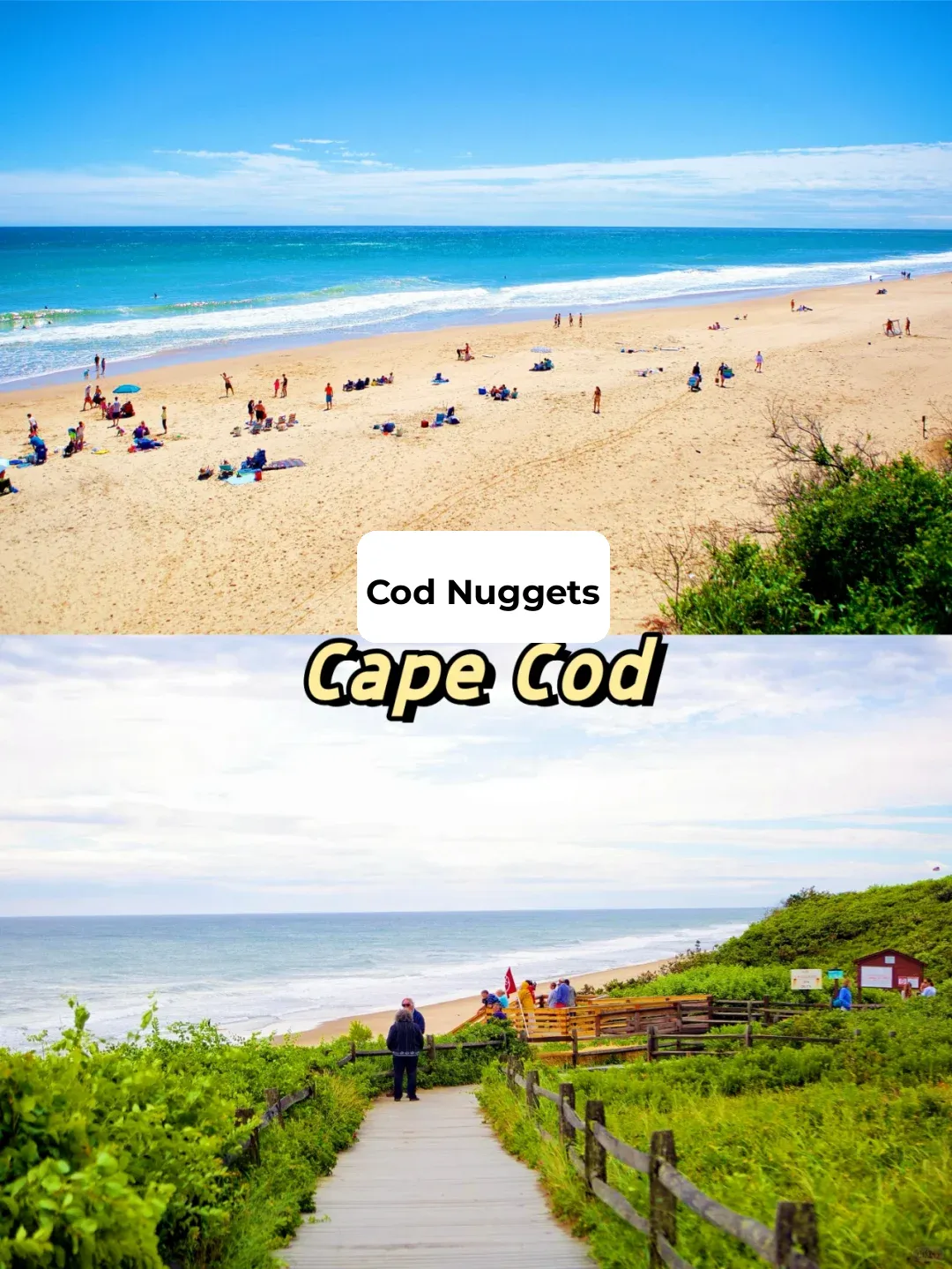 Boston Vacation Paradise‼️ Hidden Gem Island Travel Guide🏝