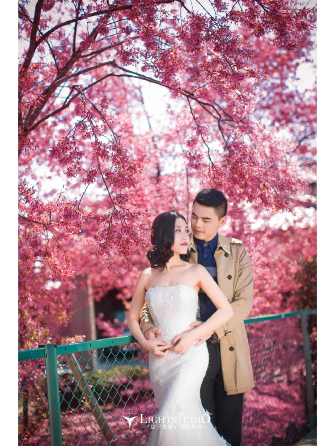 Spring is here! Top spots in Kyoto for early cherry blossoms 🌸