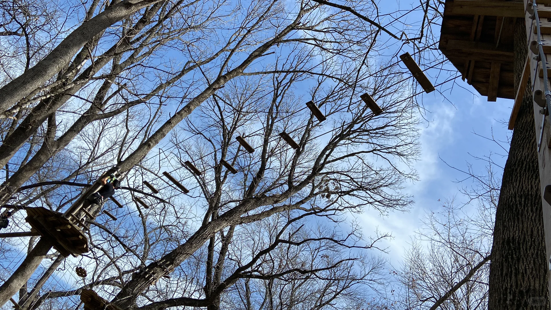 Weekend Fun in Dallas - GoApe Zipline Adventure