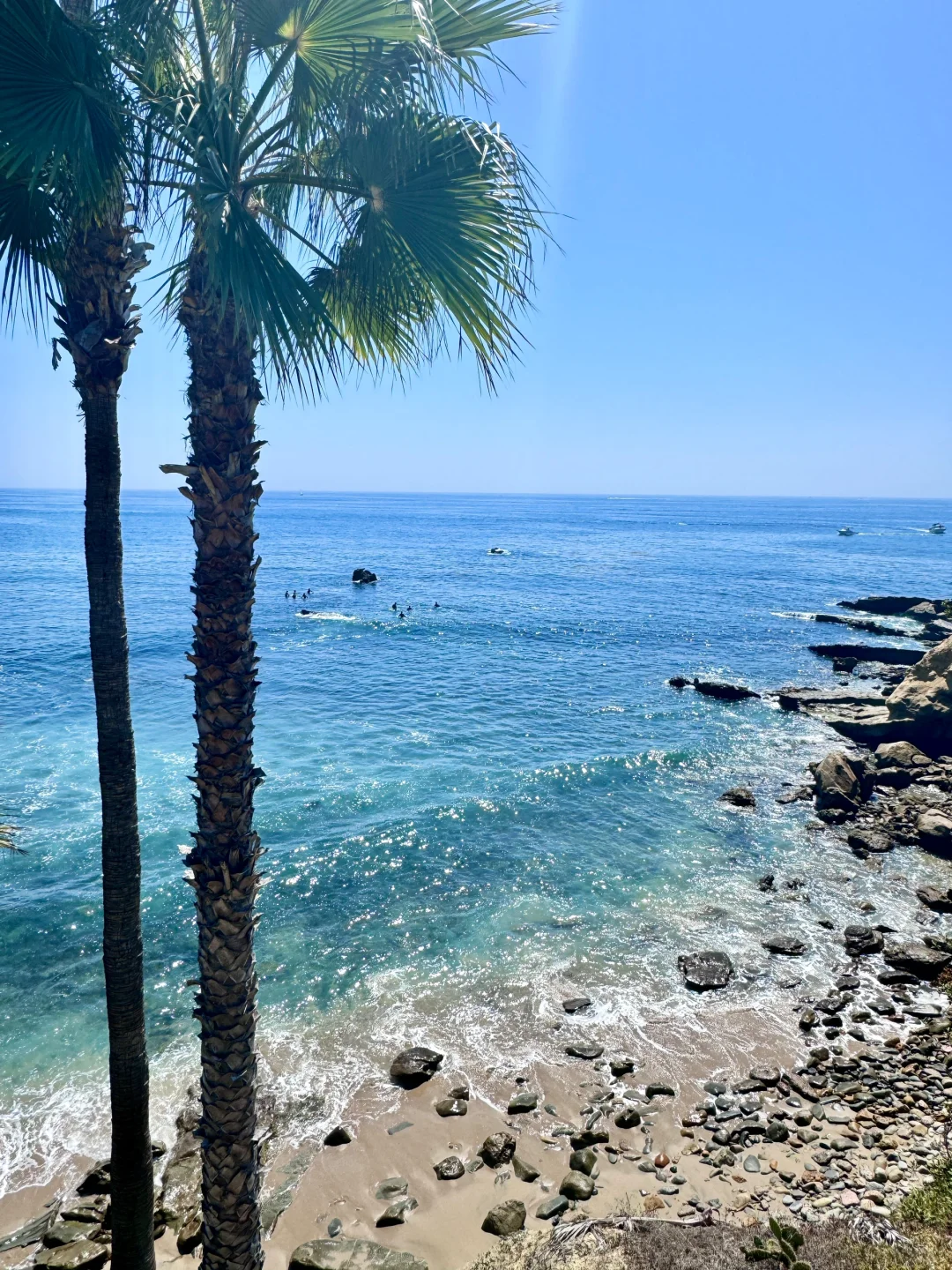 Top California Gem: Laguna Beach's Jellyfish Sea
