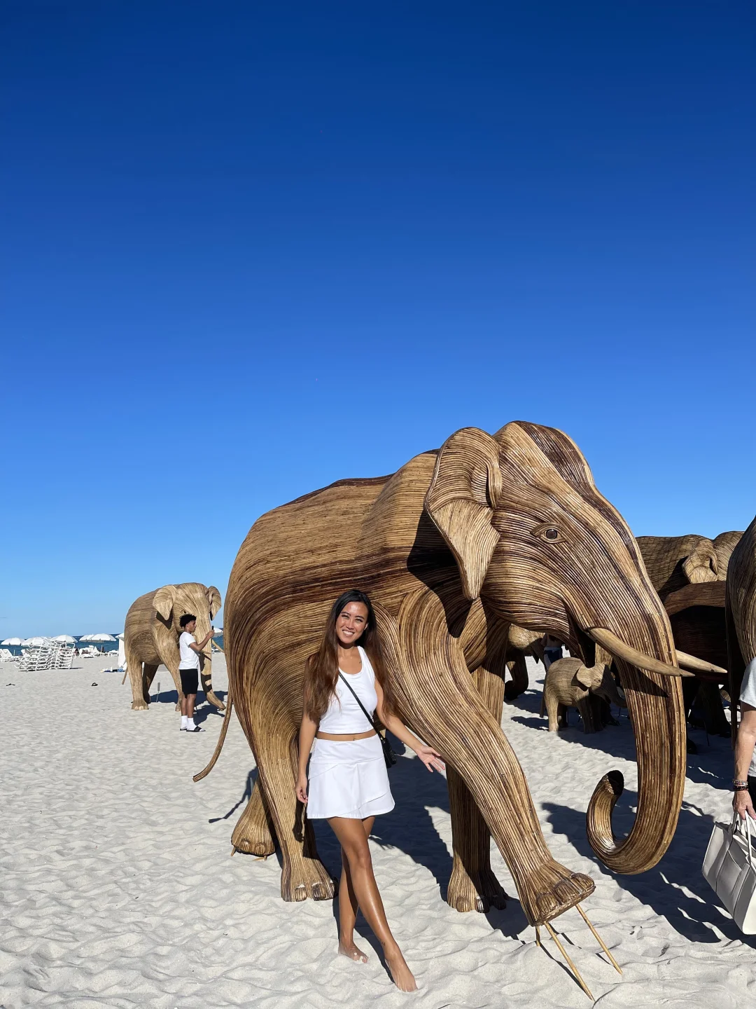 Taking Photos with Elephants 🐘 at Miami's South Beach