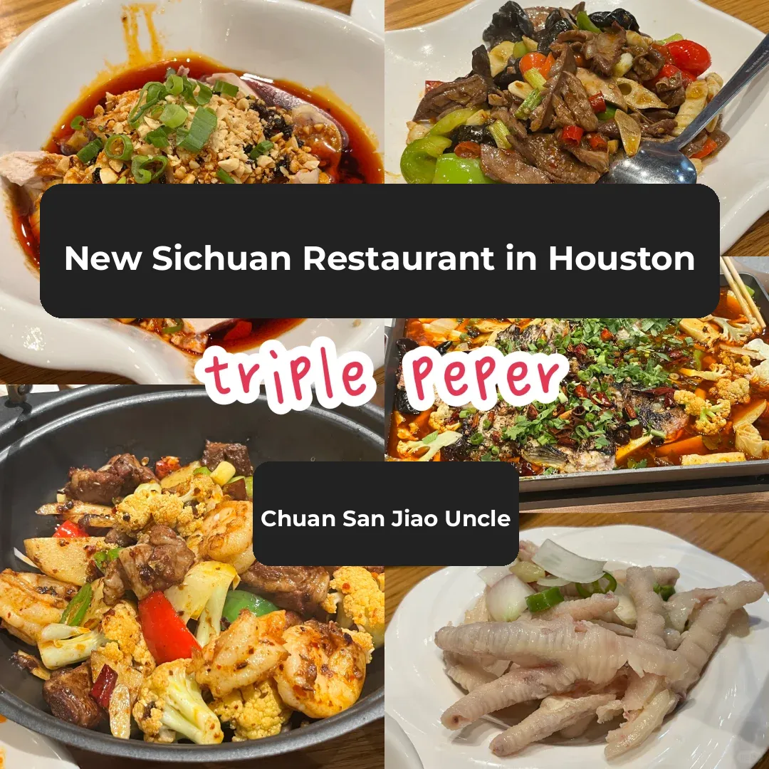 Houston | A Newly Opened Sichuan Restaurant Just Yesterday ~