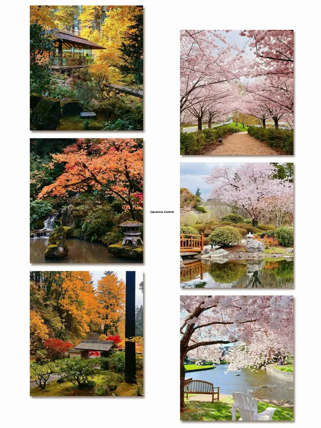 Veteran Female Tour Guide | How to Explore Portland⁉️ Just Follow Me!