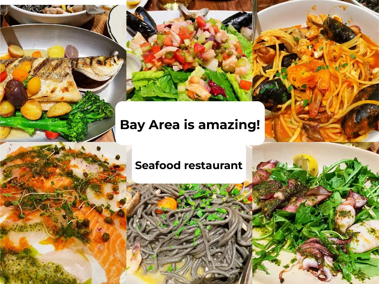 "Must-Try Seafood Restaurants in the San Francisco Bay Area"