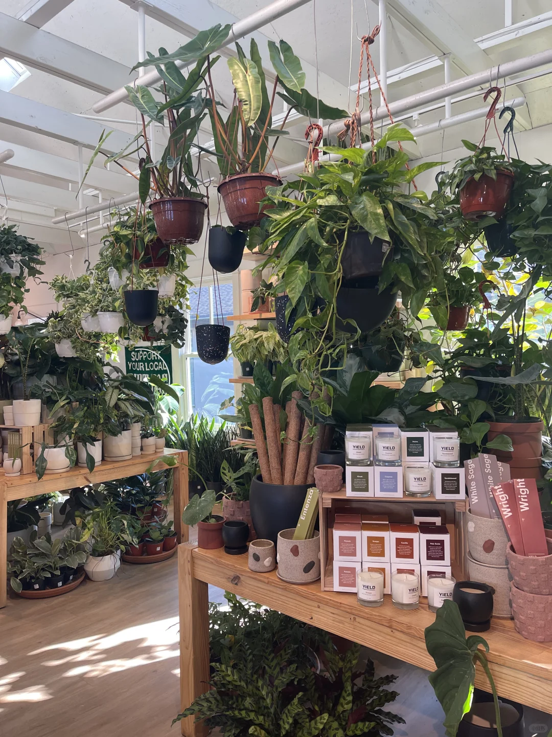 Atlanta Coffee Shops