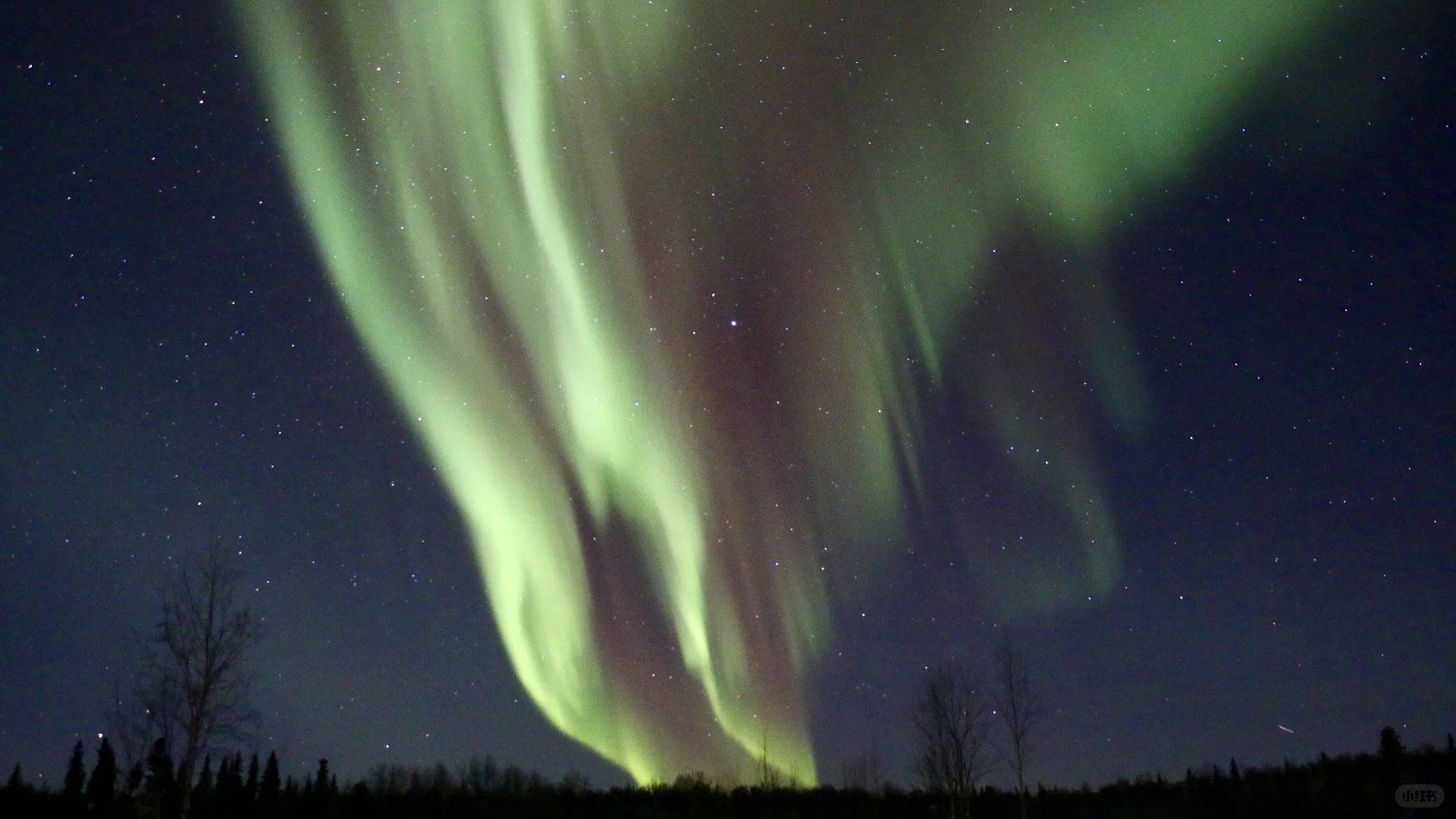 Auroras are super bright and totally dance!