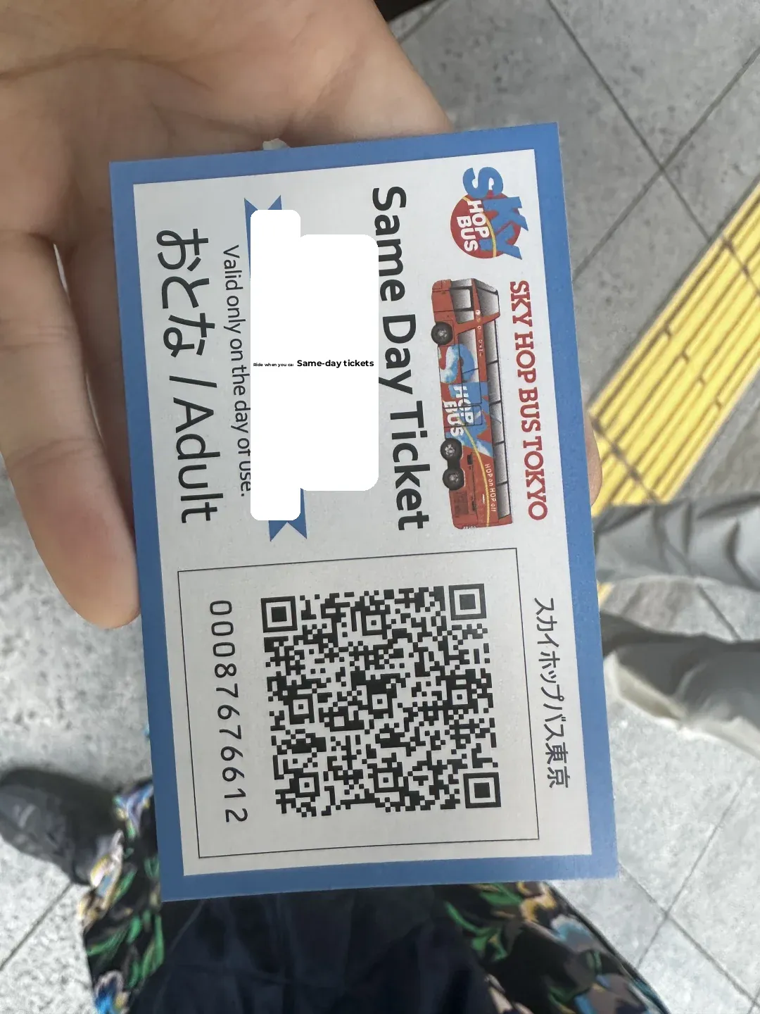 Tokyo Sunset Sky Bus Adventure 🌇 (With Guide)