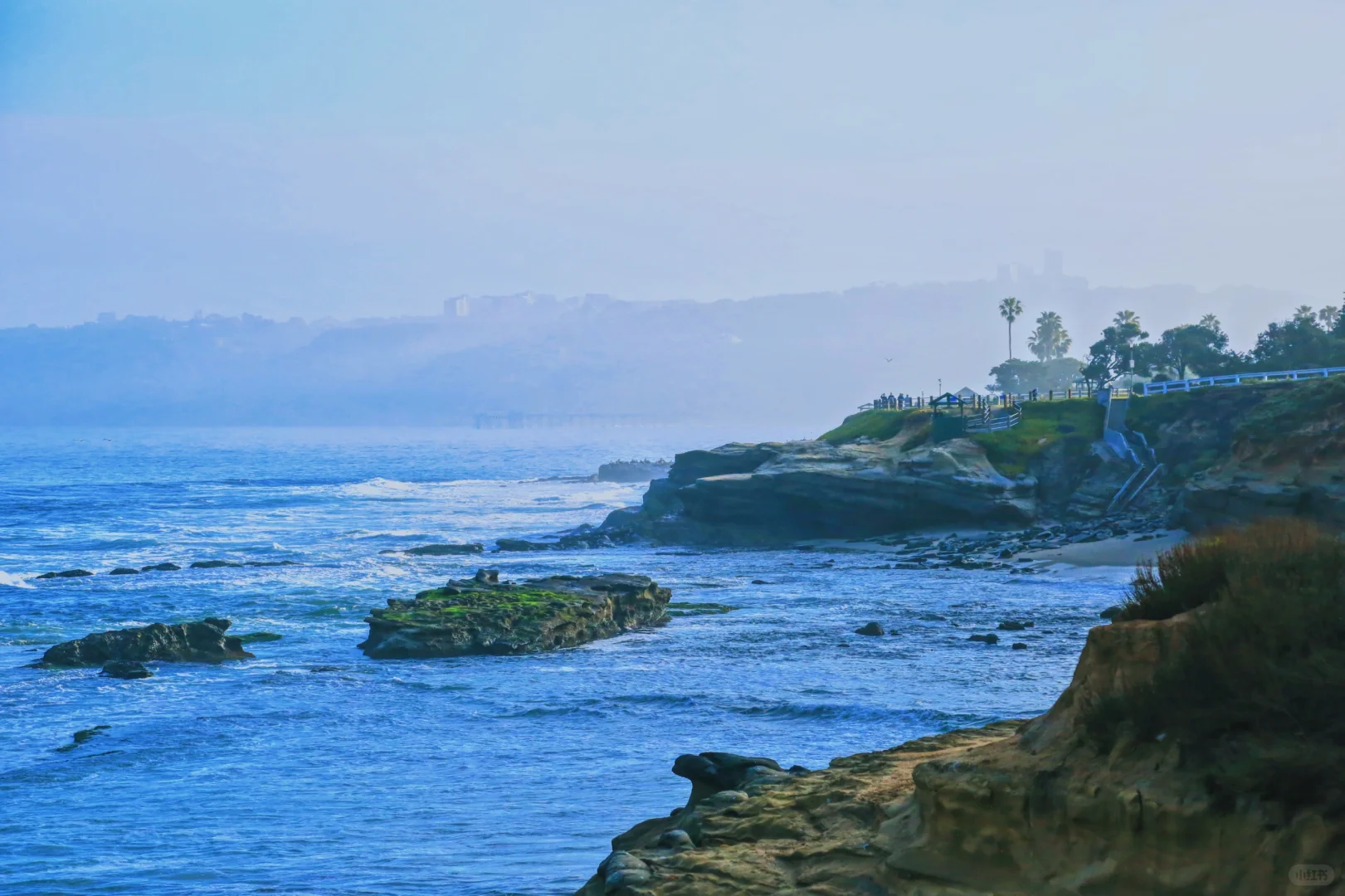 San Diego Travel Guide: Road Trip & Car-Free Itinerary Part 1