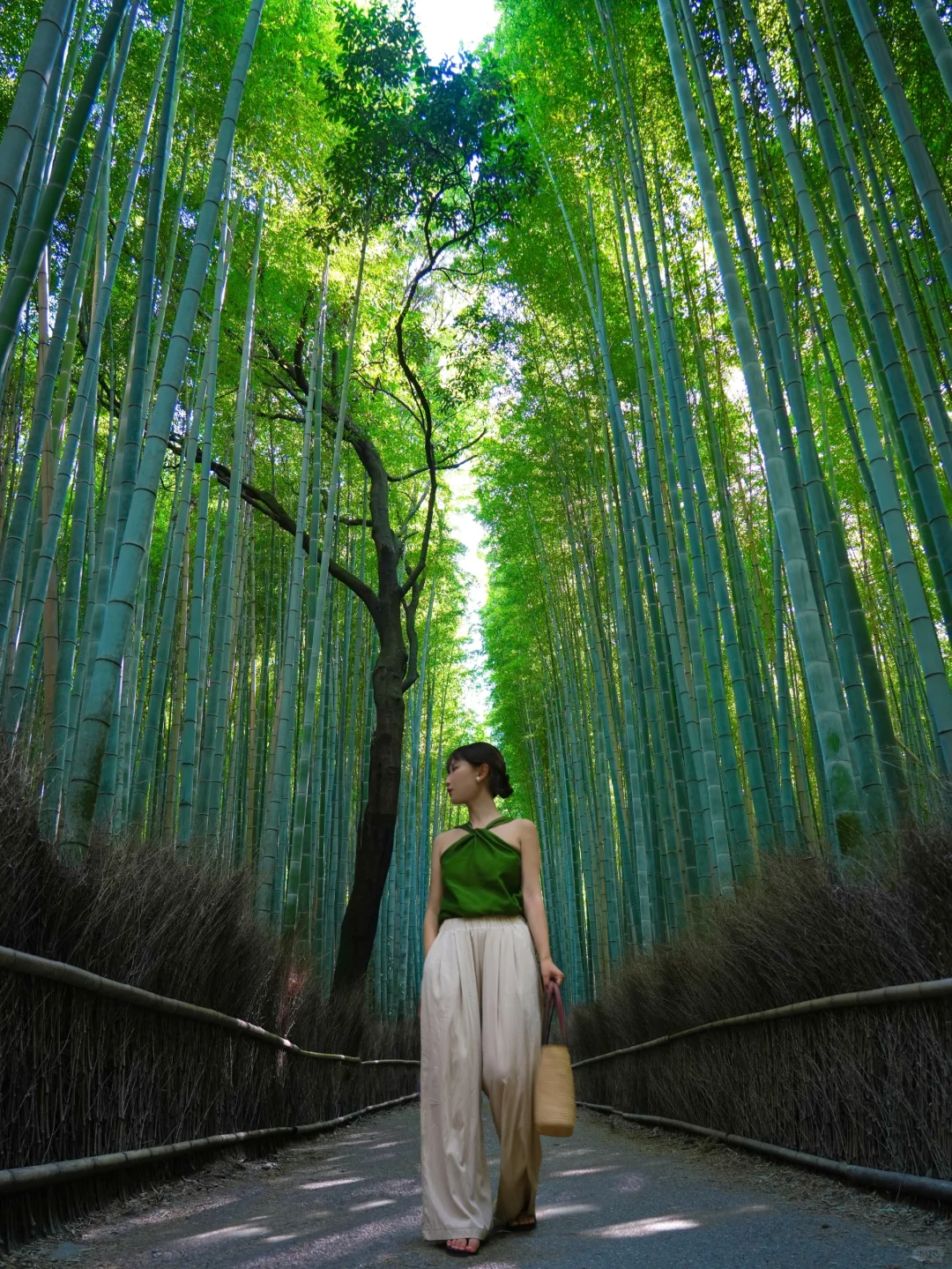 1-Day Kyoto Arashiyama Adventure: A Scenic & Less Crowded Stroll Route 🎋