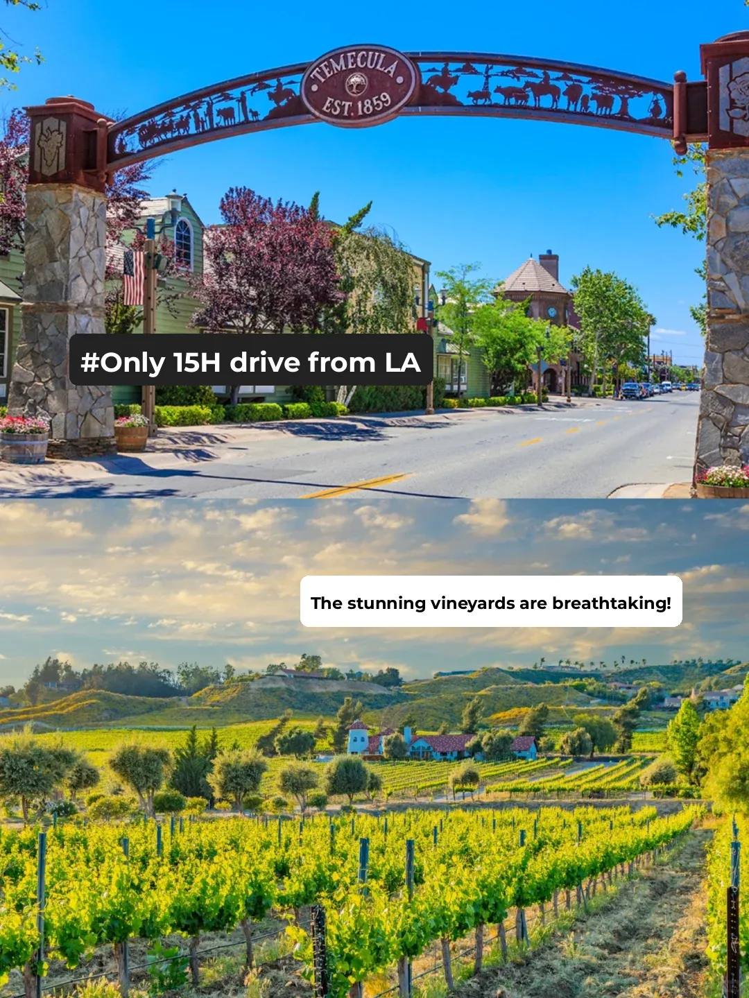 Guide | LA's Got Romantic 🎈Hot Air Balloon Rides Too! ‼️