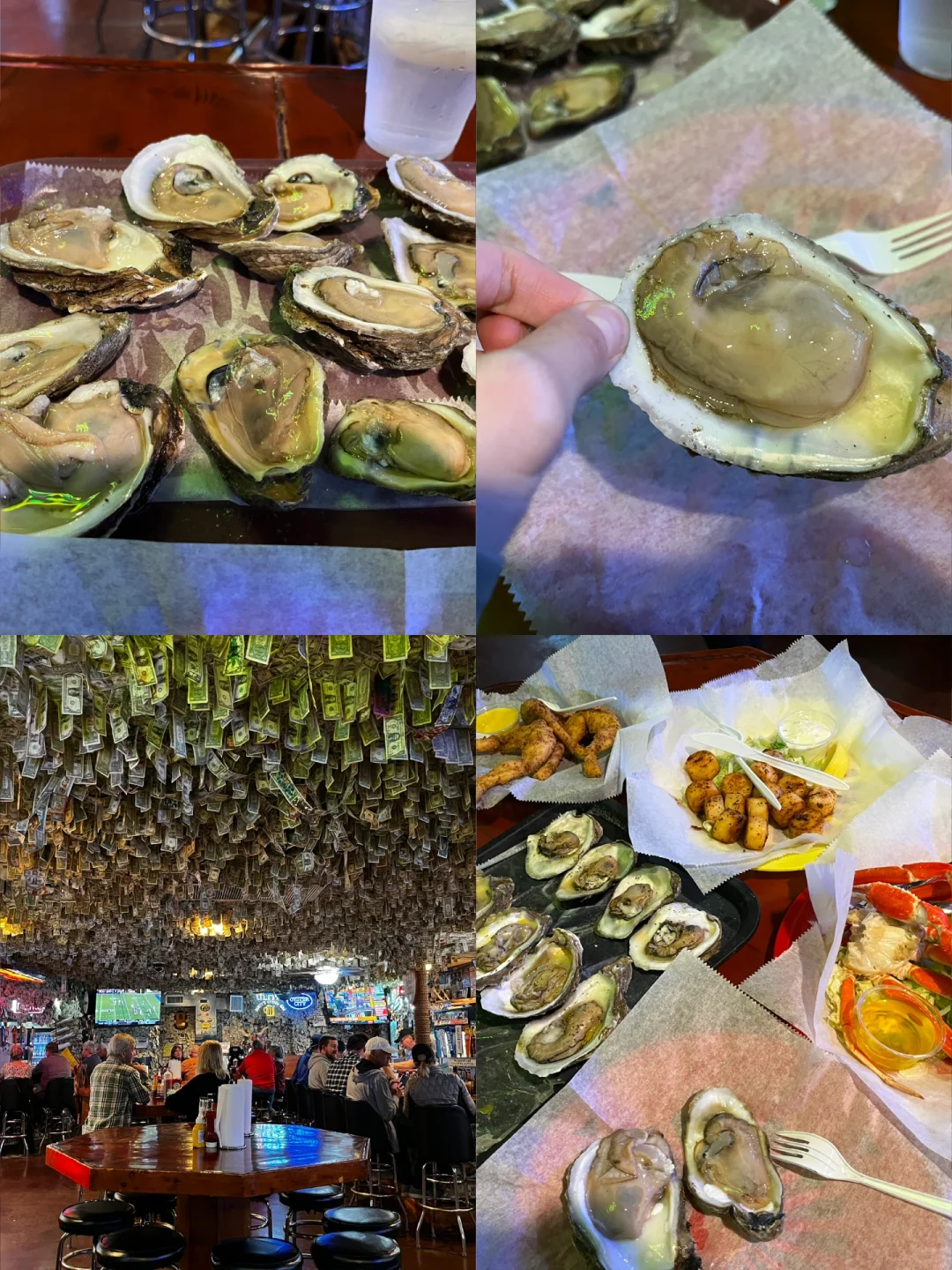 2024 Christmas Holiday: Oyster Feast Starting from Atlanta 🦪 1️⃣