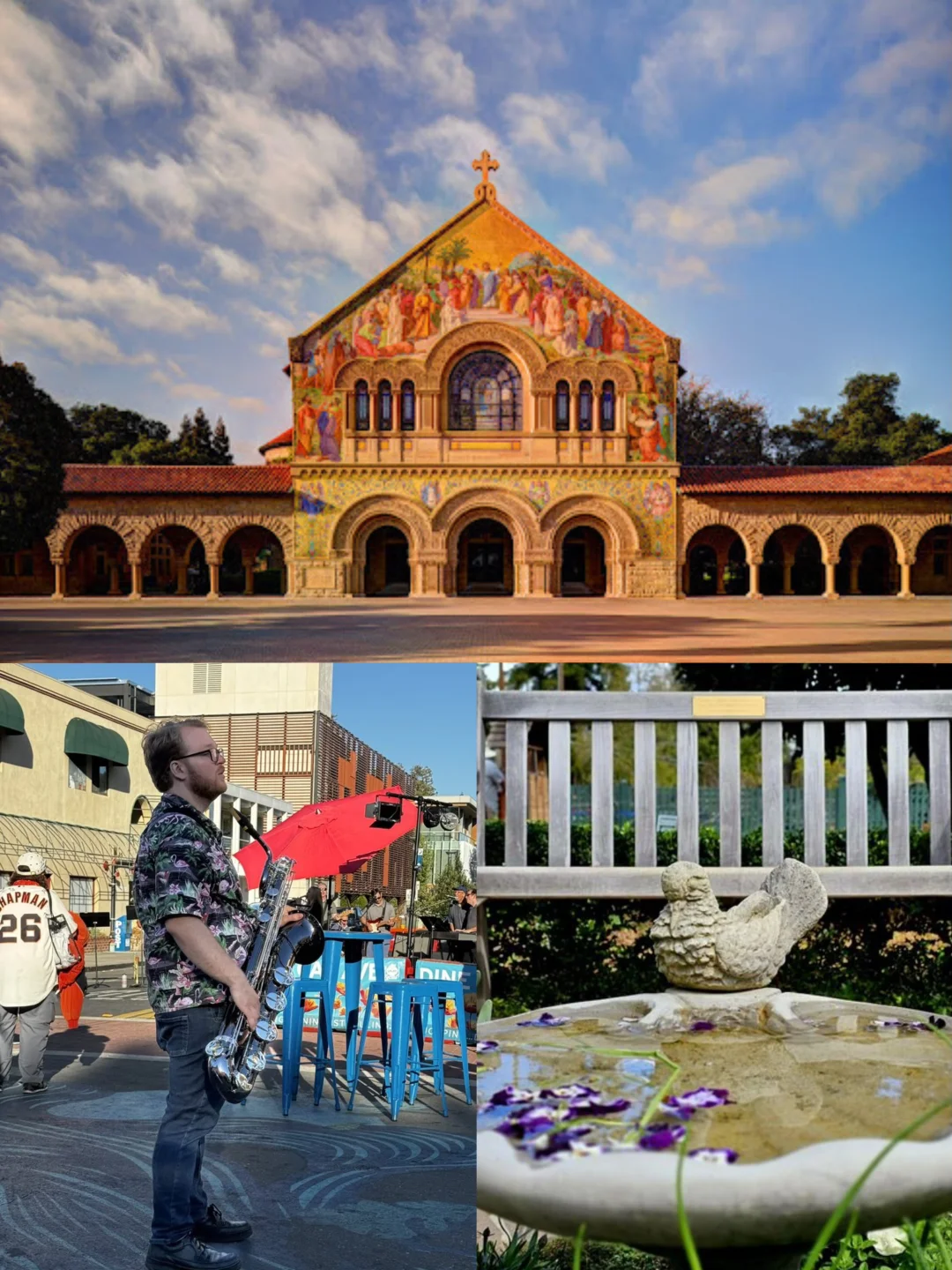 Bay Area Palo Alto Playlist 🎈 18 Ways to Enjoy Life 🫧