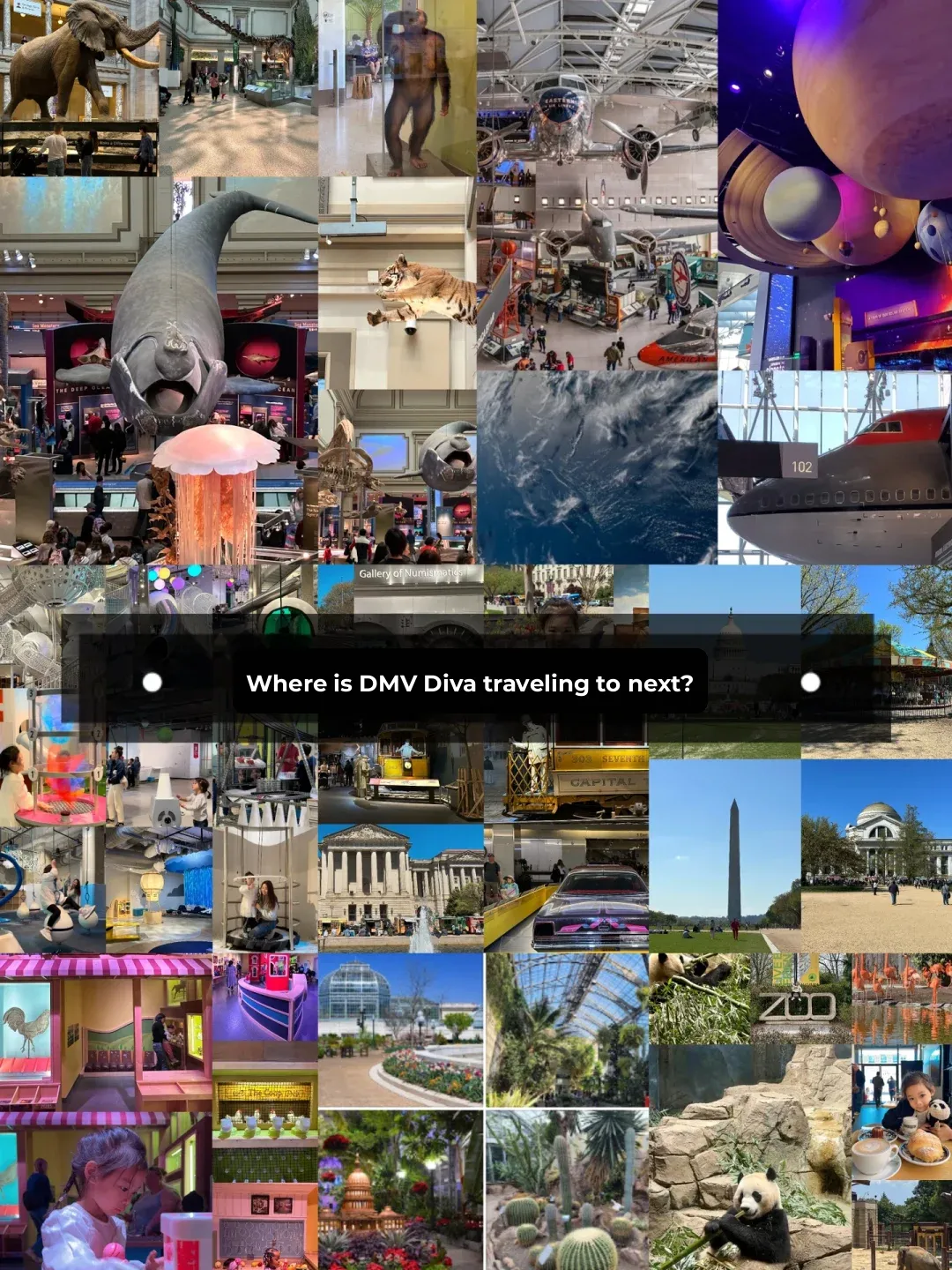 "May Day Travel Guide for Parents: Top DMV Spots to Explore with Kids"