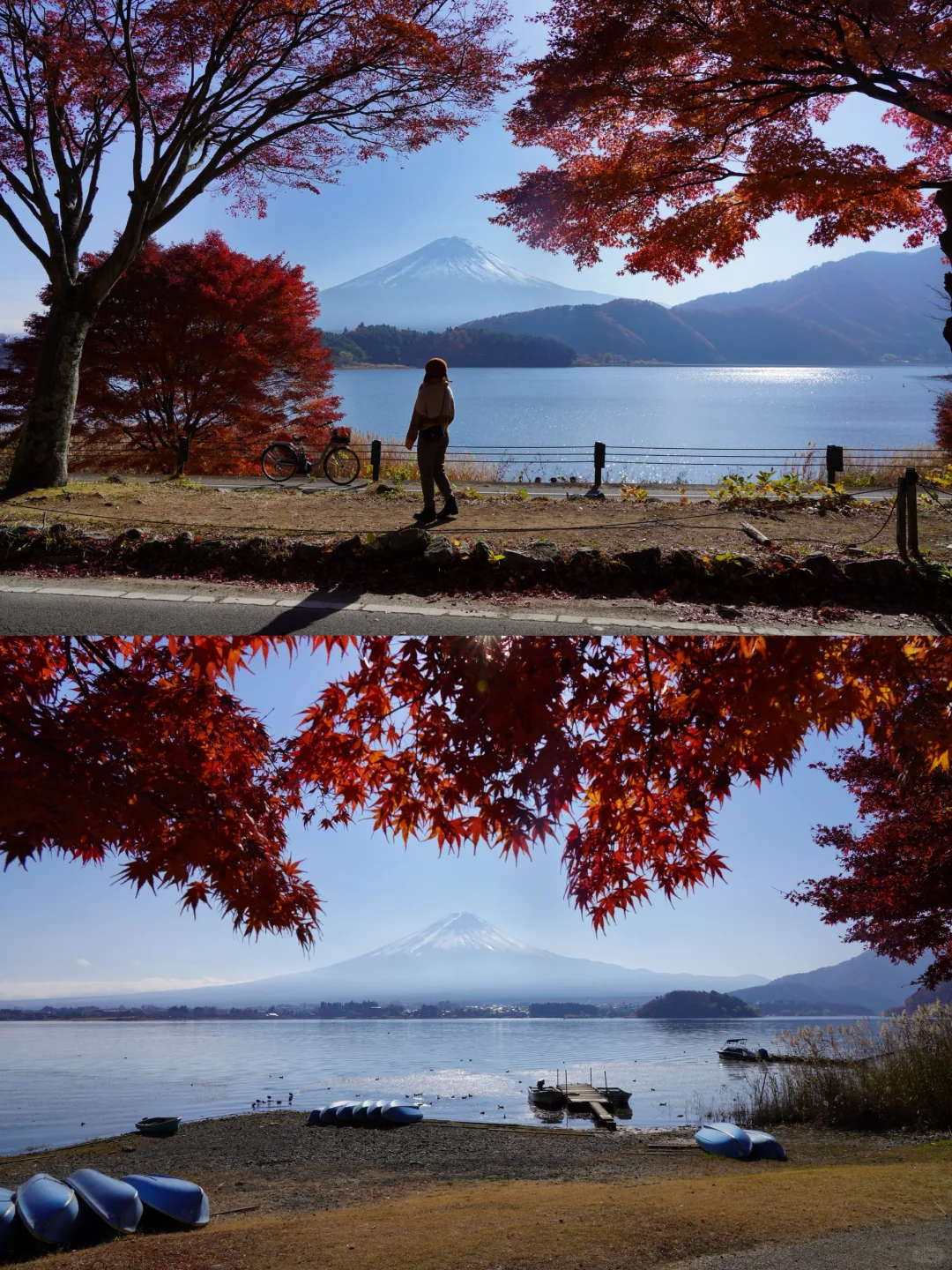 Thanksgiving Tokyo Area Maple Season Experience