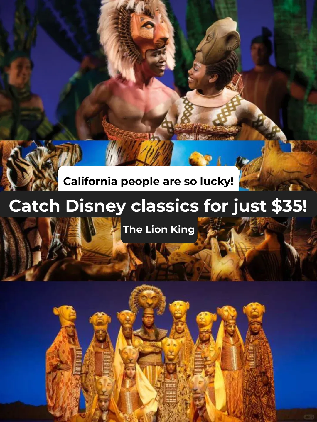 Watch a Broadway show worth $800 in California for just $35?