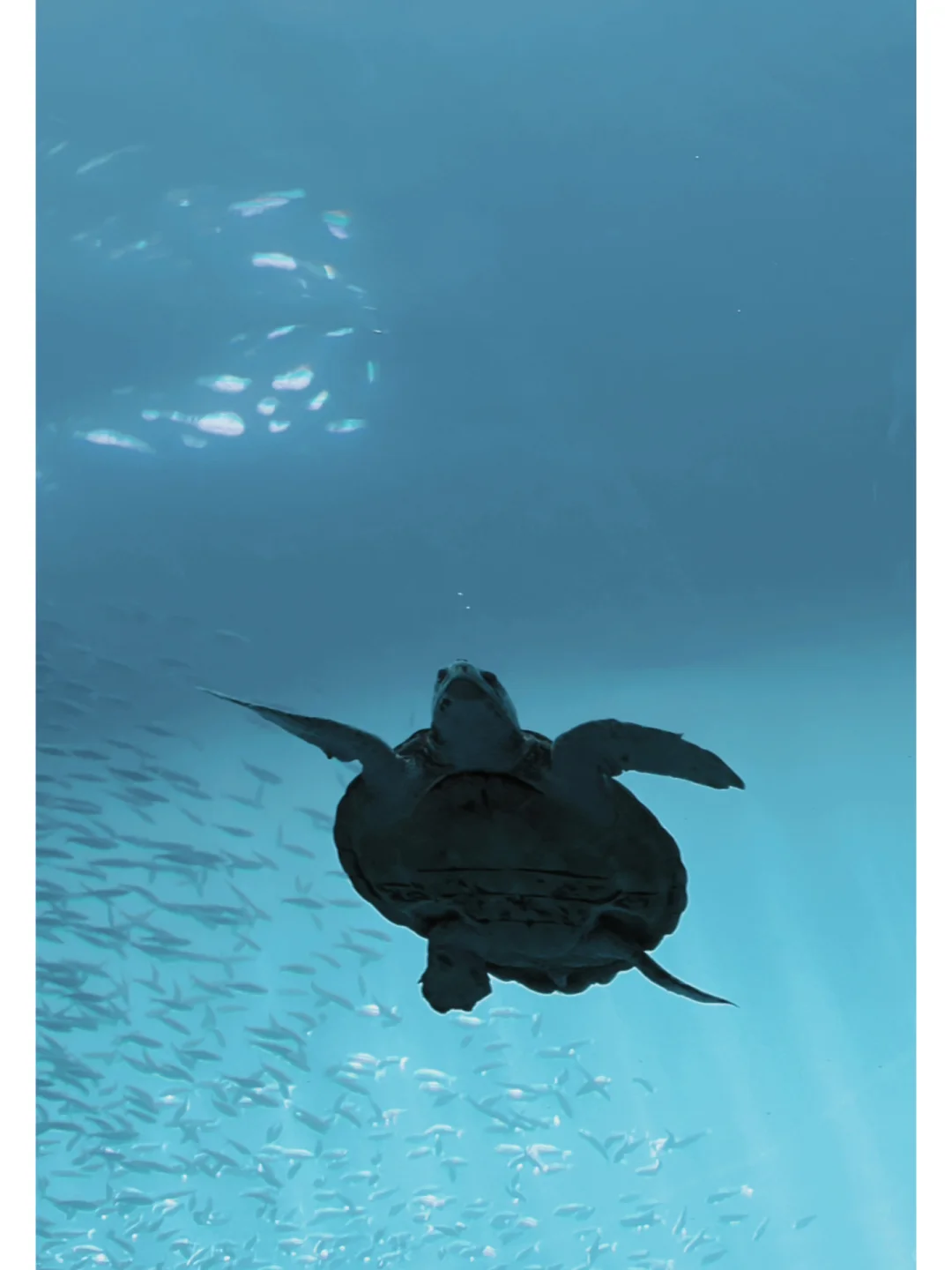 Miami 3.0: Must-Visit Spots Edition