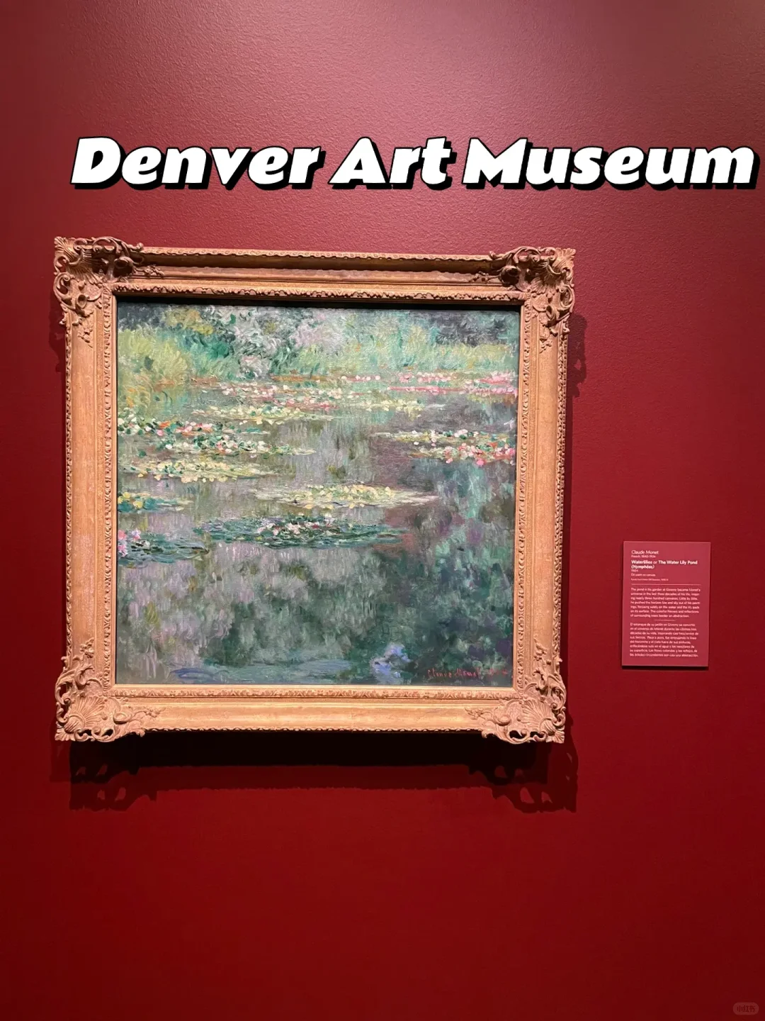 Denver Exhibition Guide: The Surprisingly High-Quality Art City You Didn't Expect!