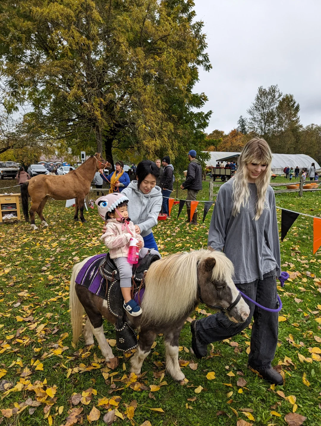 Seattle Family Fun: Pony Rides for Kids