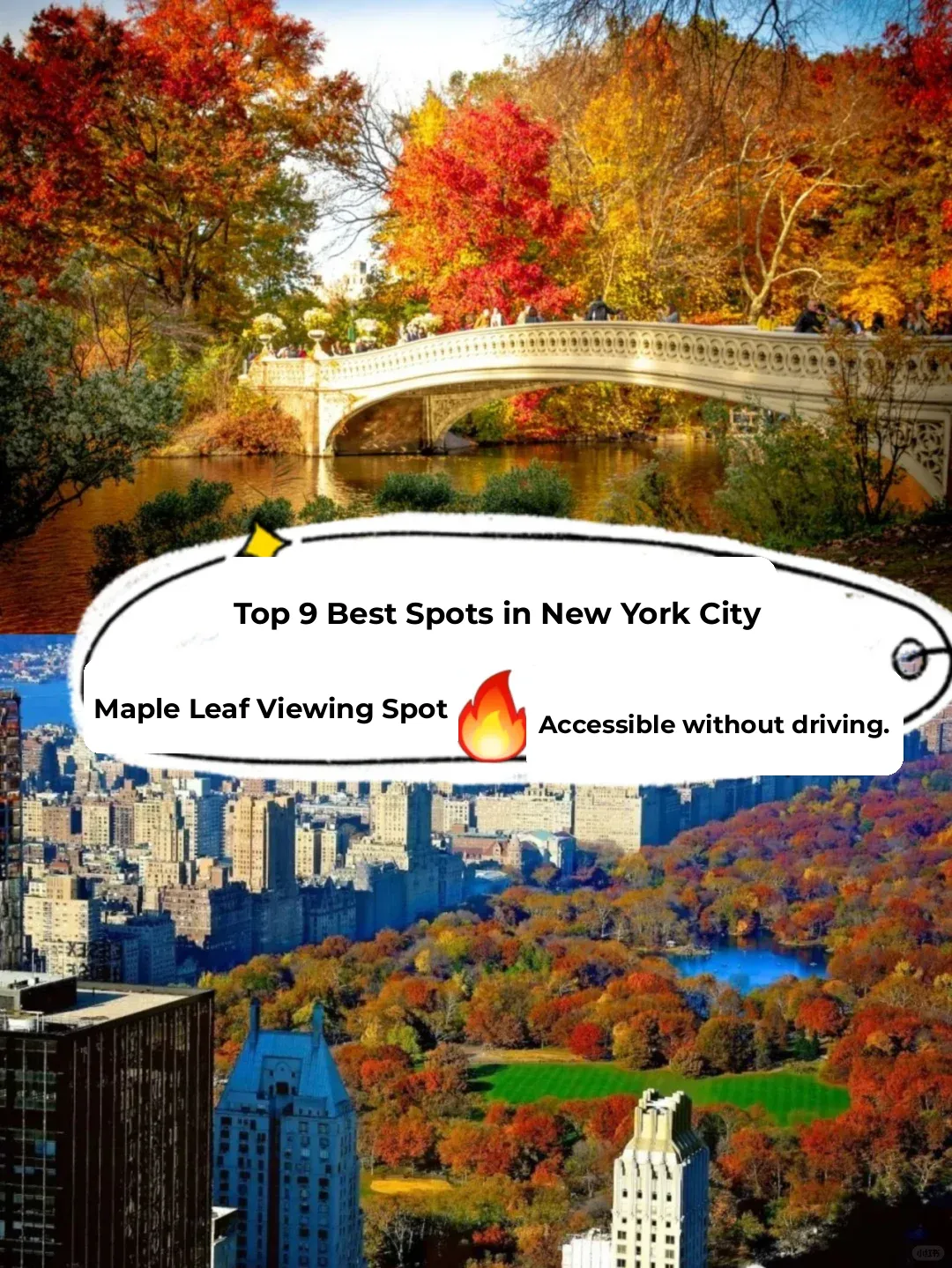 Top 9 Best Places to See Fall Foliage in NYC 🔥 No Car Needed
