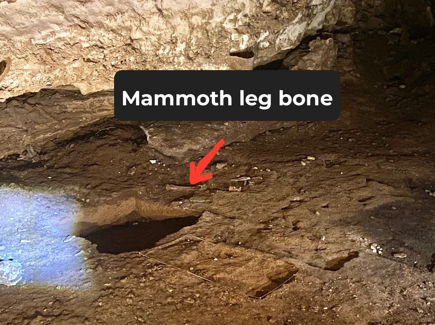 📍Inner Space Cavern in Austin