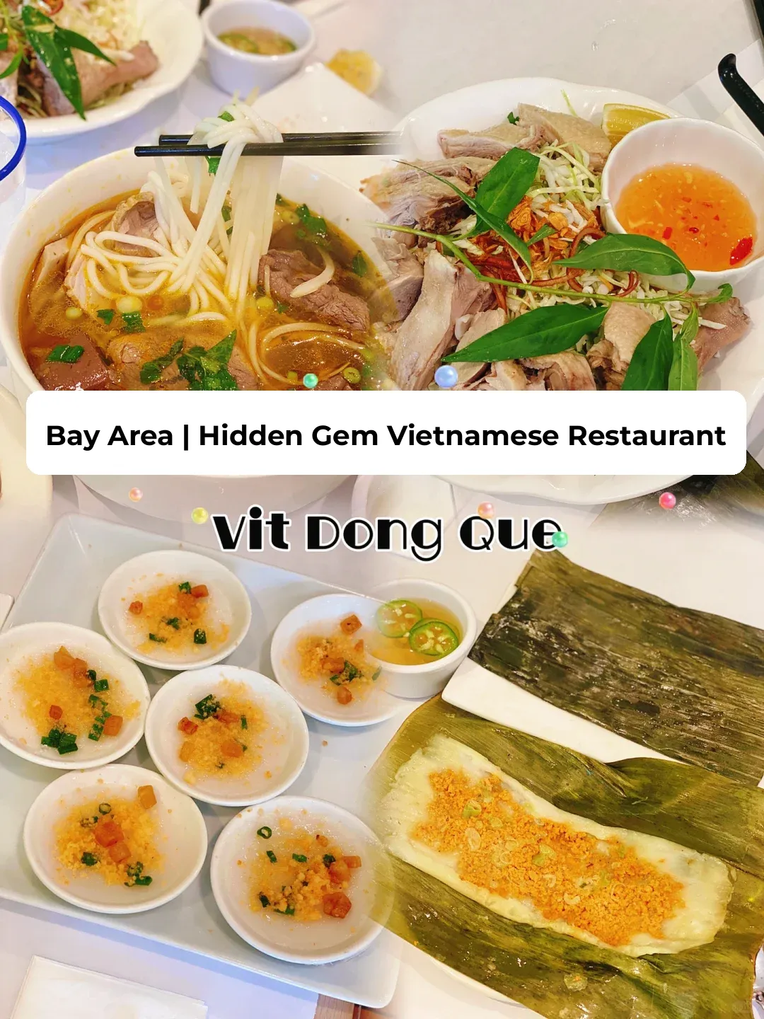 Bay Area | Vietnamese 🇻🇳 Street Food is Absolutely Amazing 👌 Plus Duck Salad