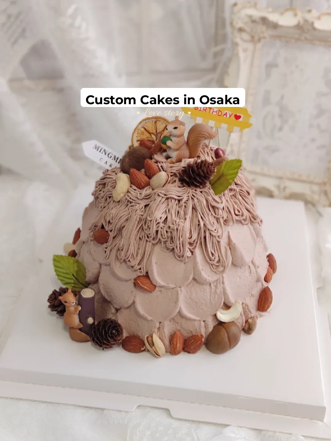 Squirrel Prep for Winter 😃