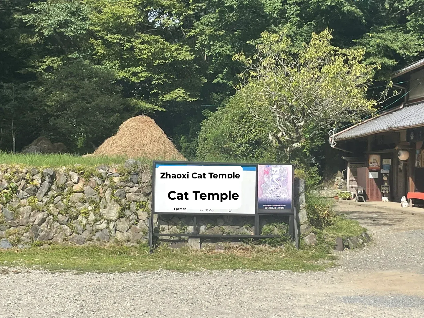 8-Day 7-Night Osaka-Kyoto-Tokyo Solo Itinerary 📍