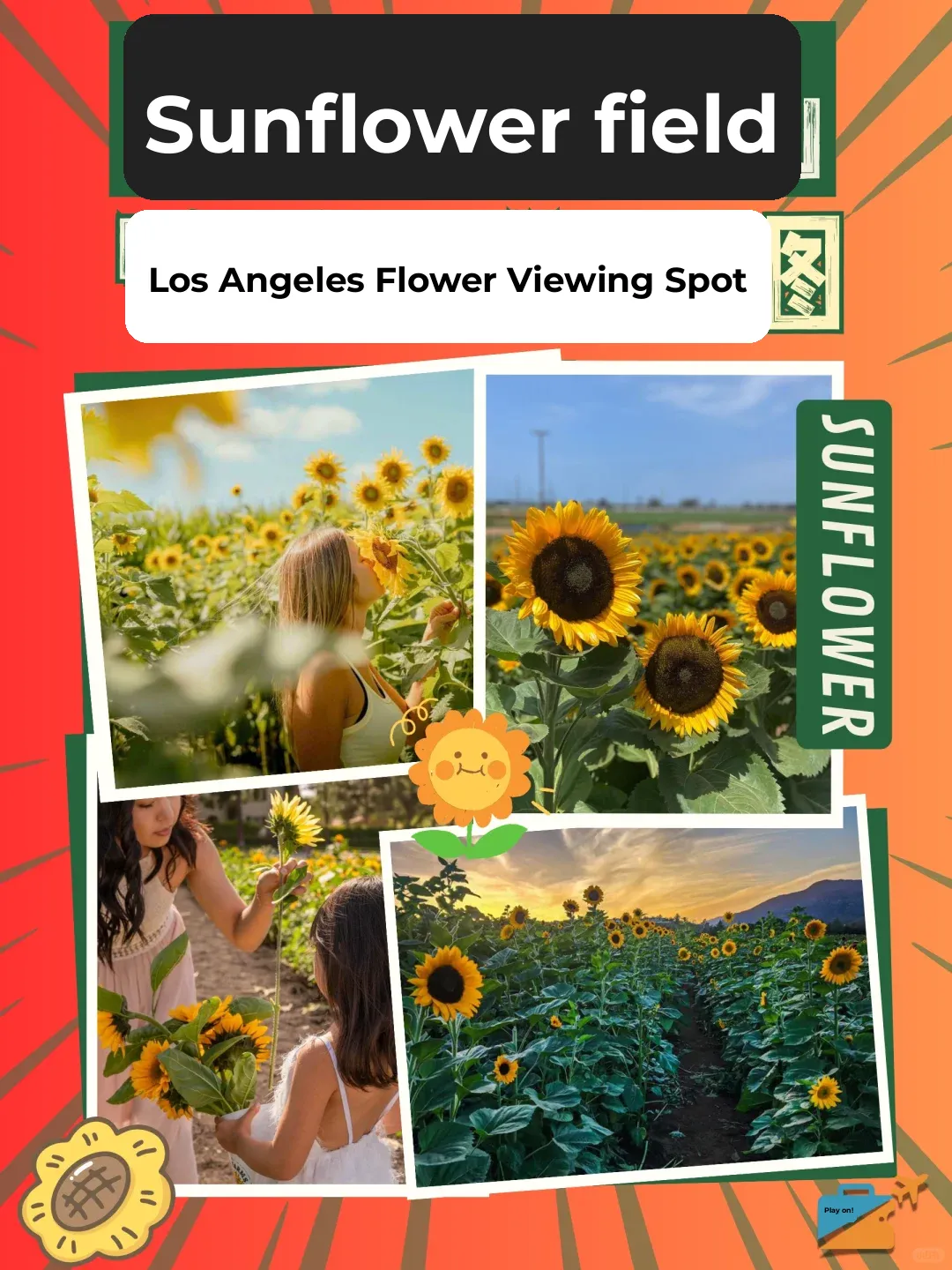 🌻 Who Knew Sunflowers Could Be So Photogenic! Los Angeles Sunflower Farm