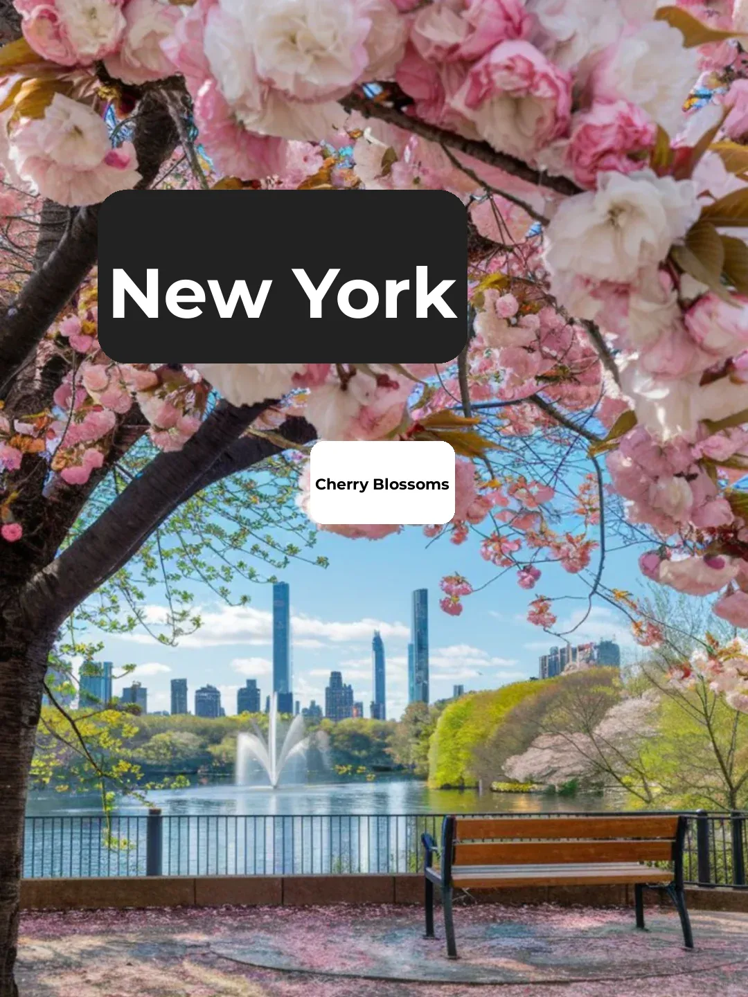 🌸 New York Cherry Blossom Map: 14 Must-Visit Spots All in One Guide