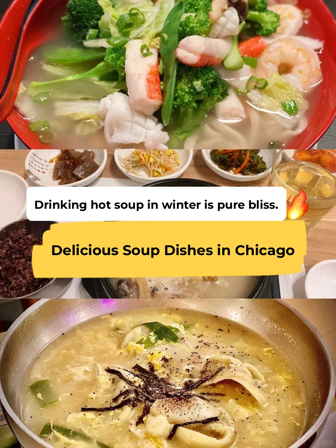 "Chicago's Delicious Hot Soup Dishes ♨️ Highly Recommended for Asian Food Lovers"