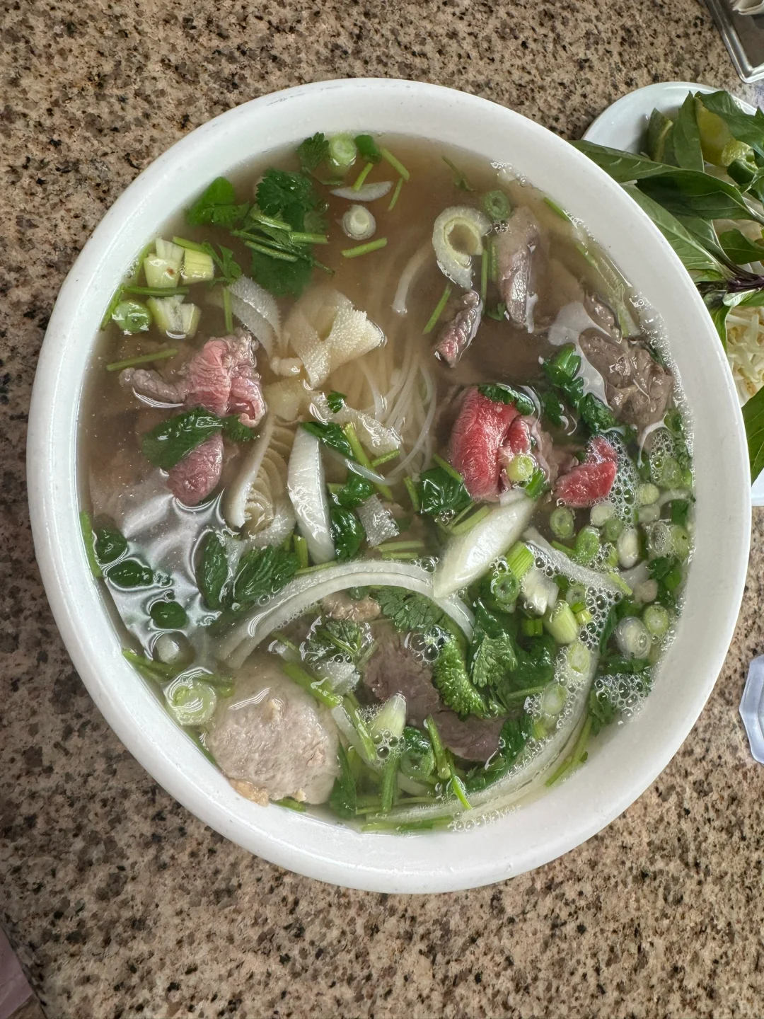 Chicago's Little Asia: A Taste Test Comparison of Vietnamese Pho on Argyle Street