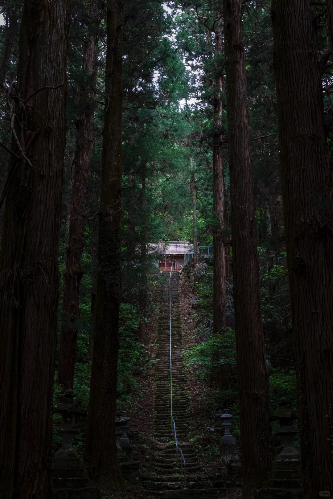 Day Trip to Tokyo | Skip the Okutama Hike and Head to Minami-Yama Instead