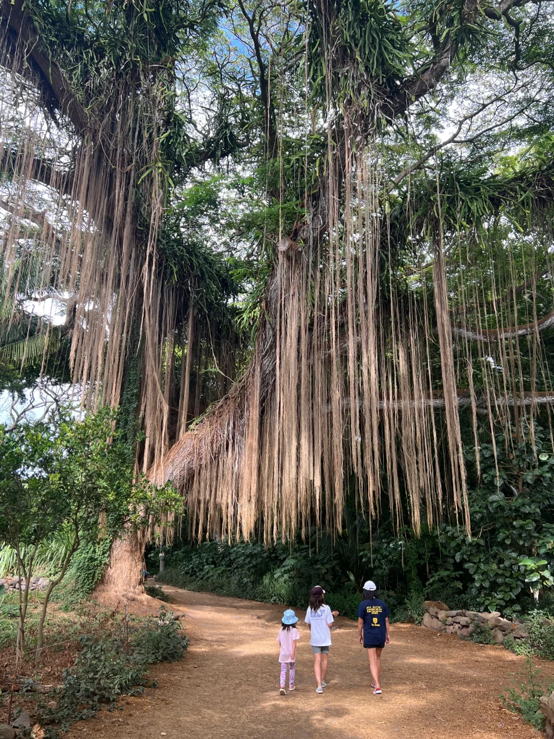 Top Maui, Hawaii Recommendations & Guide