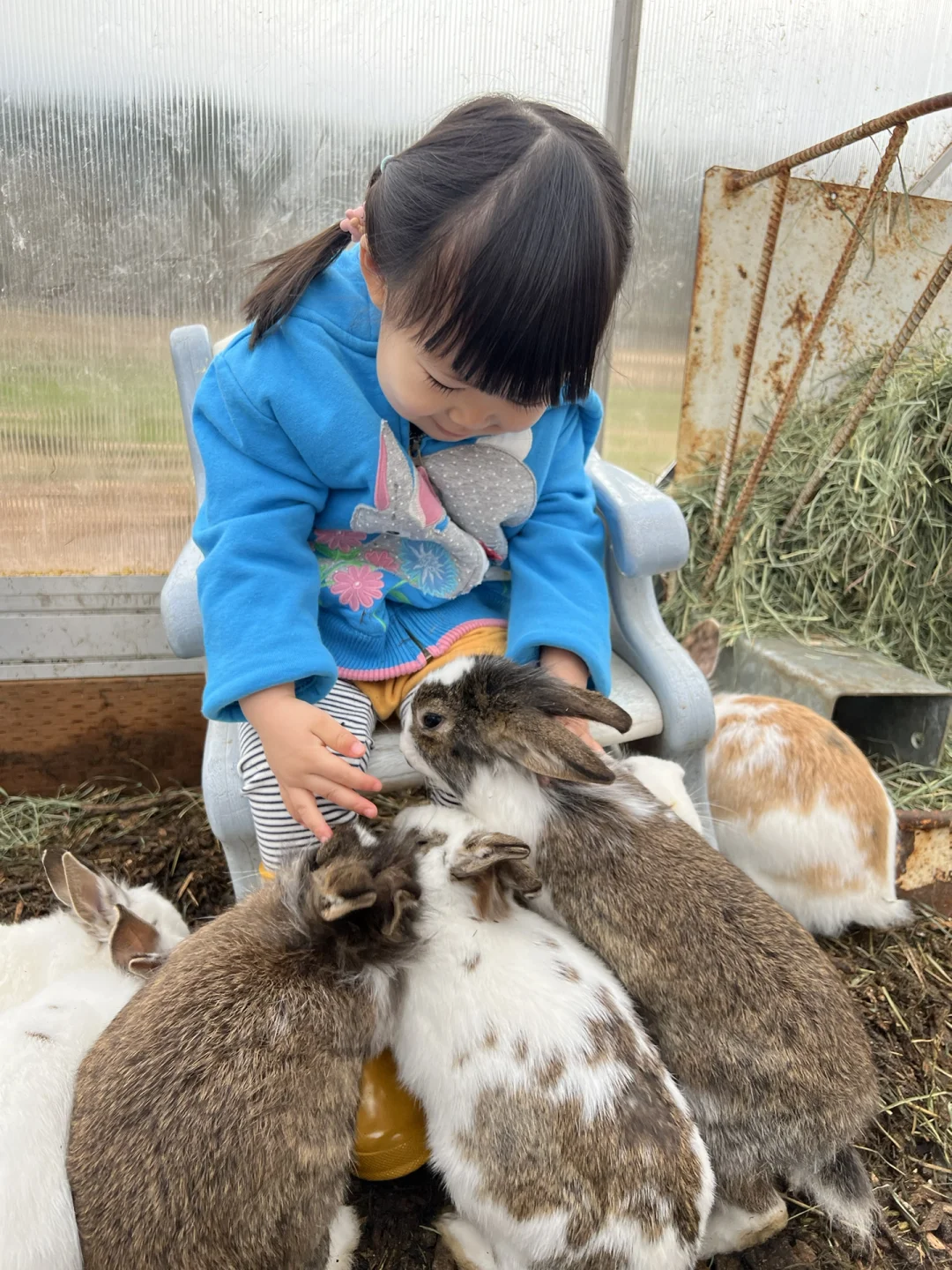 Family-Friendly Outings Near Seattle | Issaquah's Best Farms for Kids