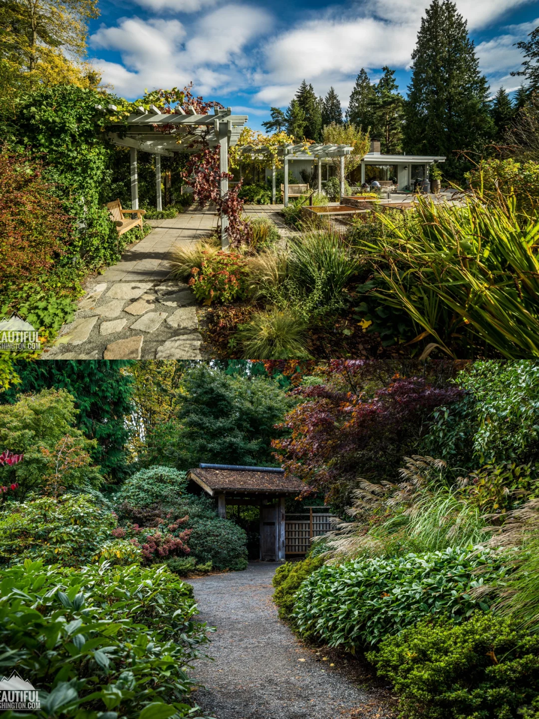 Top 10 Hiking Spots in Seattle 🍀 Popular & Off-the-Beaten-Path Outdoor Guide