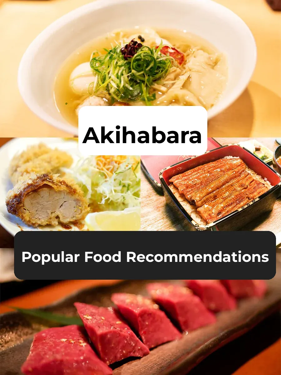 Tokyo Akihabara | Must-Try Eats | Top Restaurant Picks