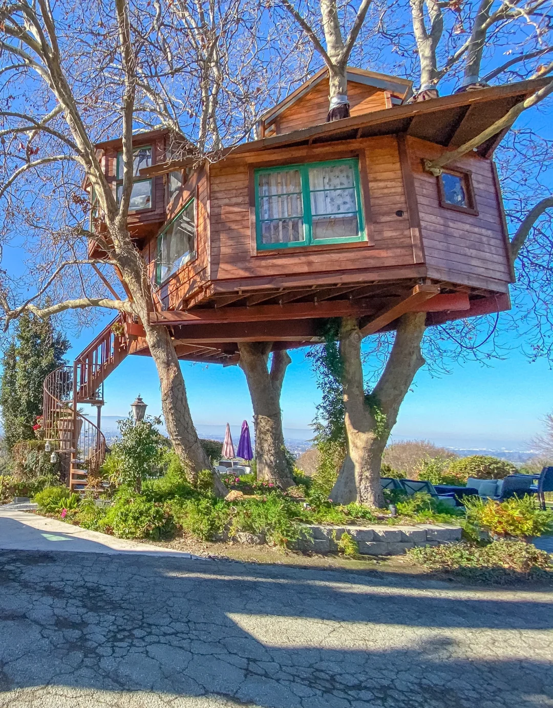 San Francisco Travel: Stay in a Fairytale Treehouse, Perfect for Families with Kids