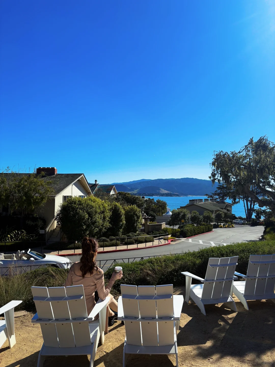 17 Miles ｜ Monterey · Bird Rock 🪨