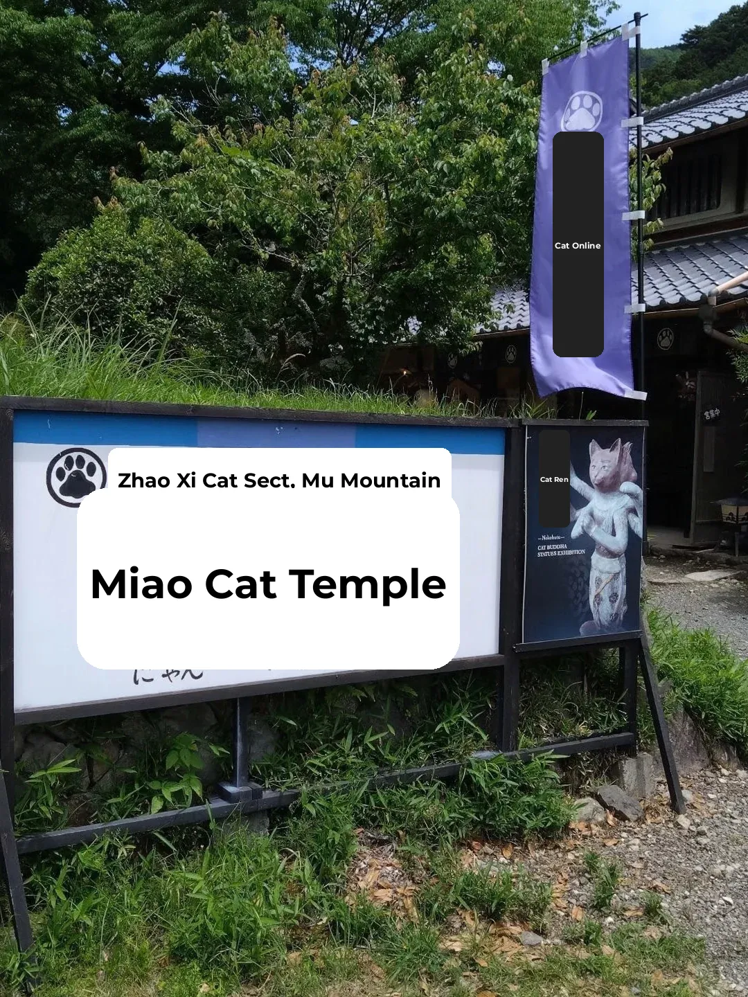 Kyoto, Why Isn't This Place More Popular?