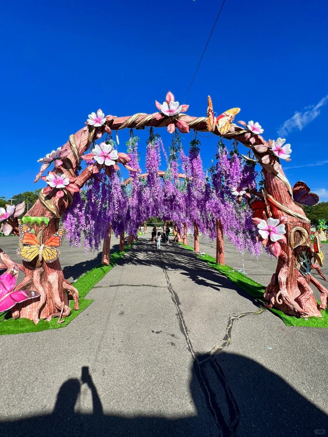 NYC Area | Long Island Dinosaur Light Show + Trampoline + Dino Racing