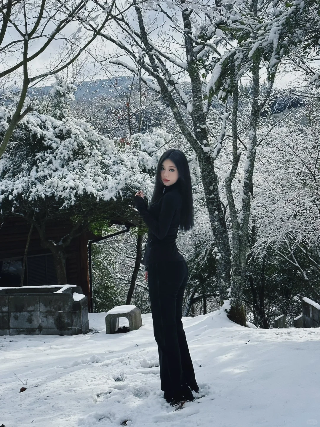 The Snows of Wakayama